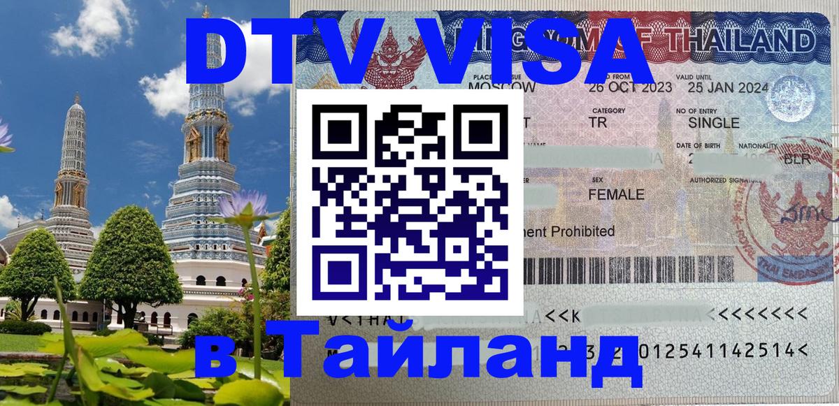 Оформление DTV визы под ключ: стоимость и тарифы, только загранпаспорт - 